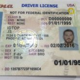 Arizona Fake ID - Image 2
