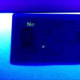 Nebraska Fake ID - Image 3