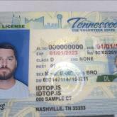 Tennessee Fake ID - Image 3