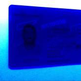 Tennessee Fake ID - Image 2