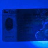 Texas Fake ID - Image 3